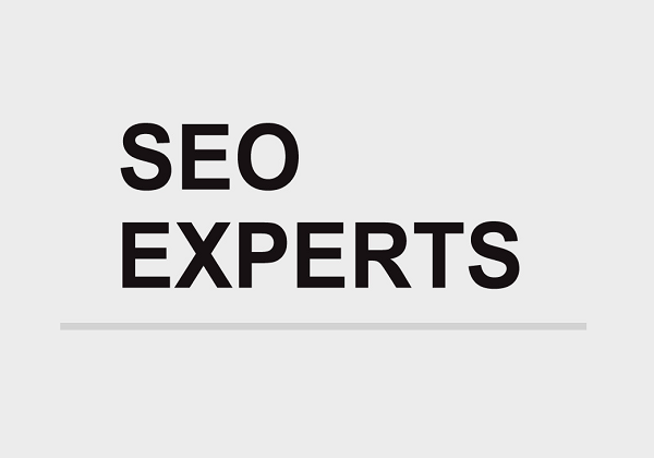 Become an SEO Expert