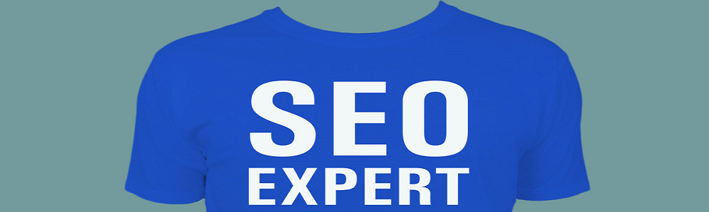 Looking to Become an SEO Expert