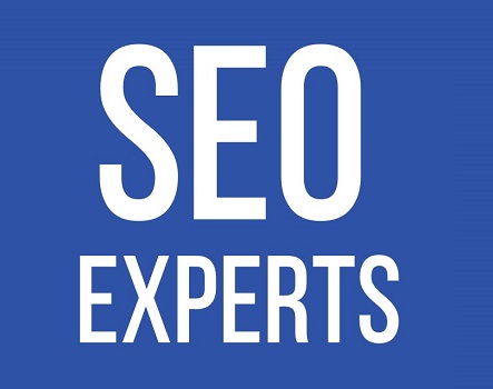 SEO for Startups